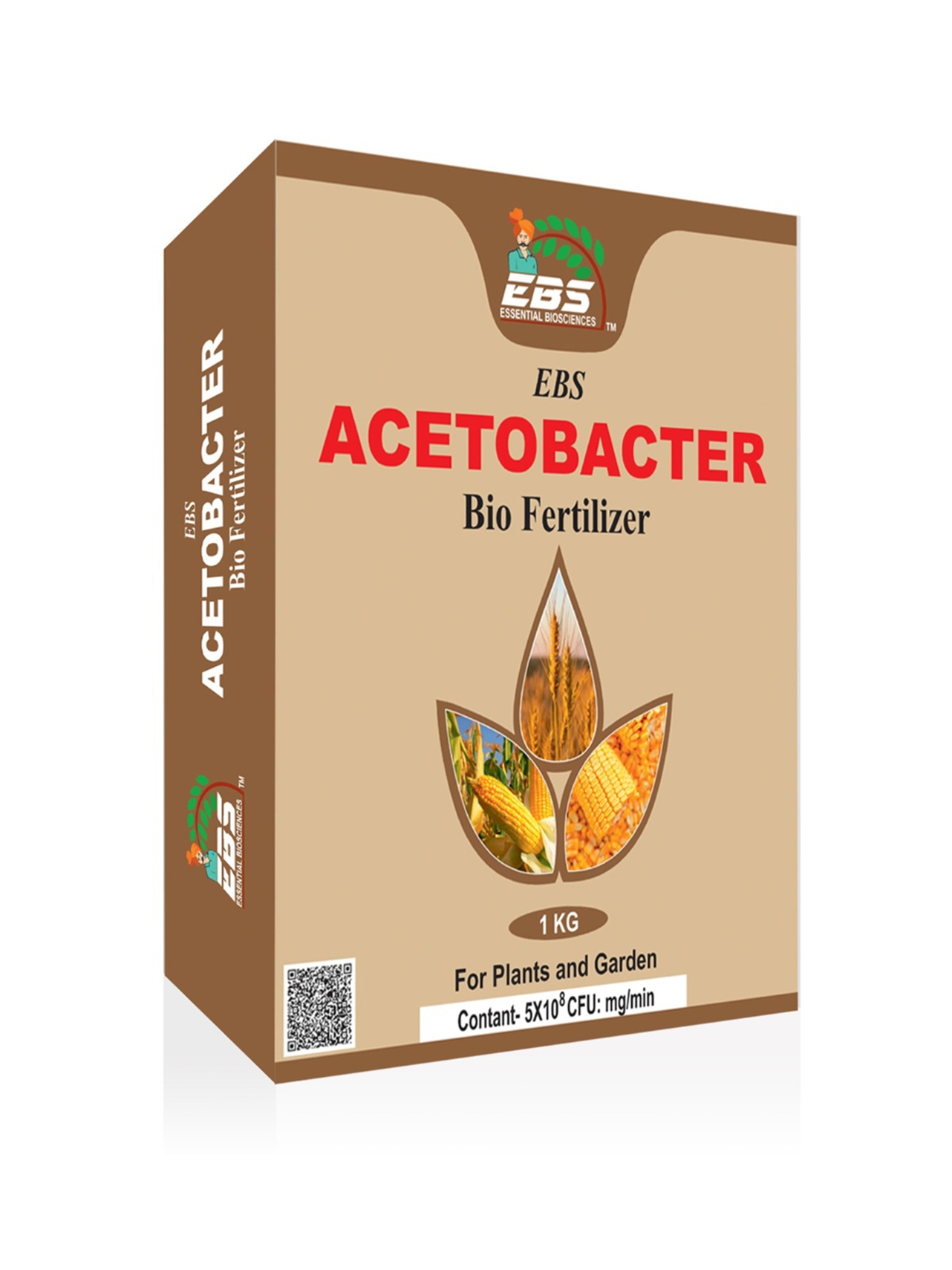 EBS Acetobacter